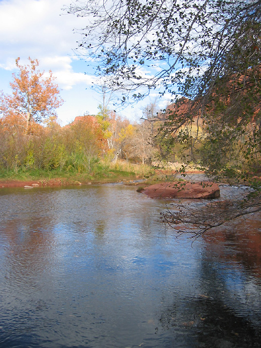 creek (rfs 0029).jpg